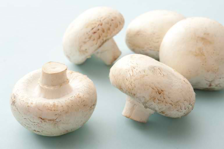 uncooked_mushrooms
