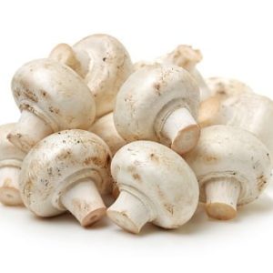 fresh button mushroom