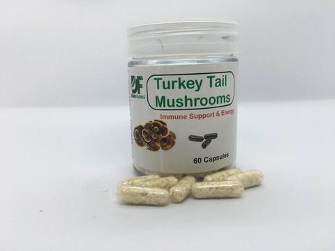 Turkey Tail mushroom capsules