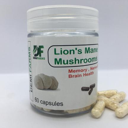 Lion's mane capsules