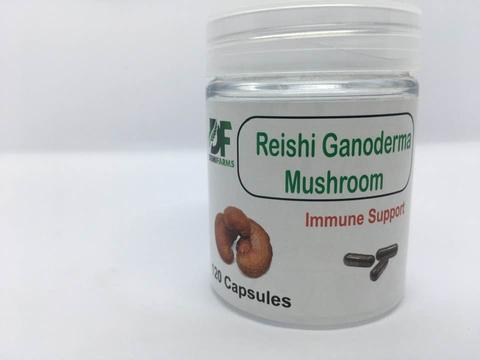 Reishi mushroom capsules
